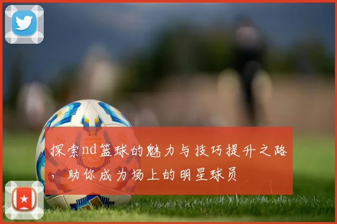 探索nd篮球的魅力与技巧提升之路，助你成为场上的明星球员