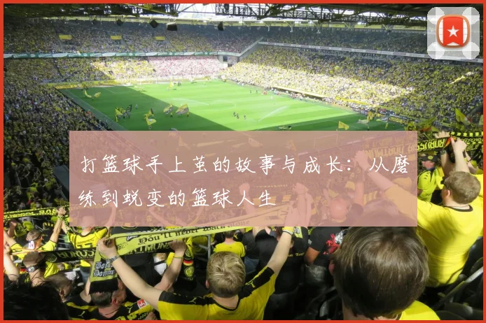 打篮球手上茧的故事与成长：从磨练到蜕变的篮球人生