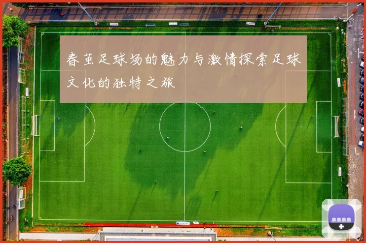 春茧足球场的魅力与激情探索足球文化的独特之旅