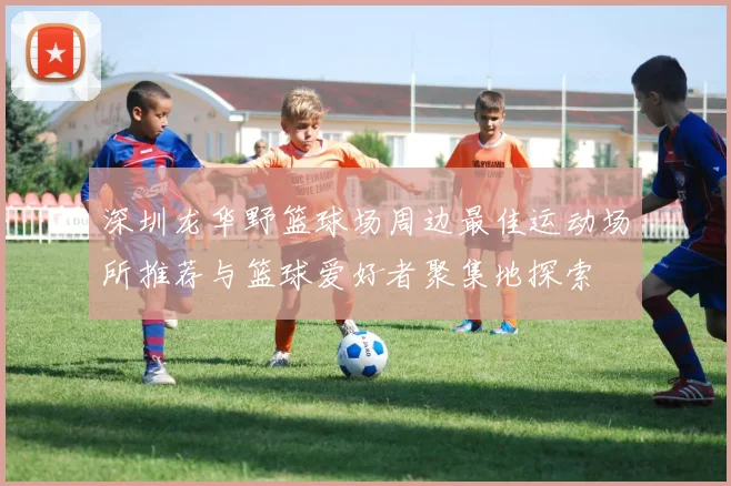 深圳龙华野篮球场周边最佳运动场所推荐与篮球爱好者聚集地探索