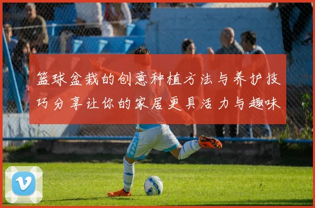 篮球盆栽的创意种植方法与养护技巧分享让你的家居更具活力与趣味