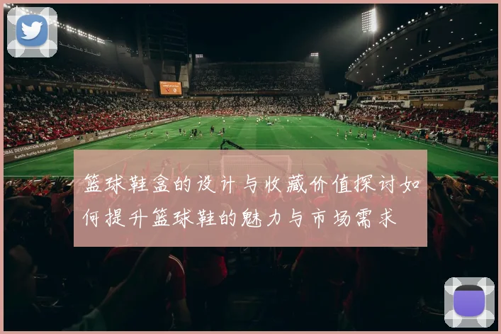 篮球鞋盒的设计与收藏价值探讨如何提升篮球鞋的魅力与市场需求
